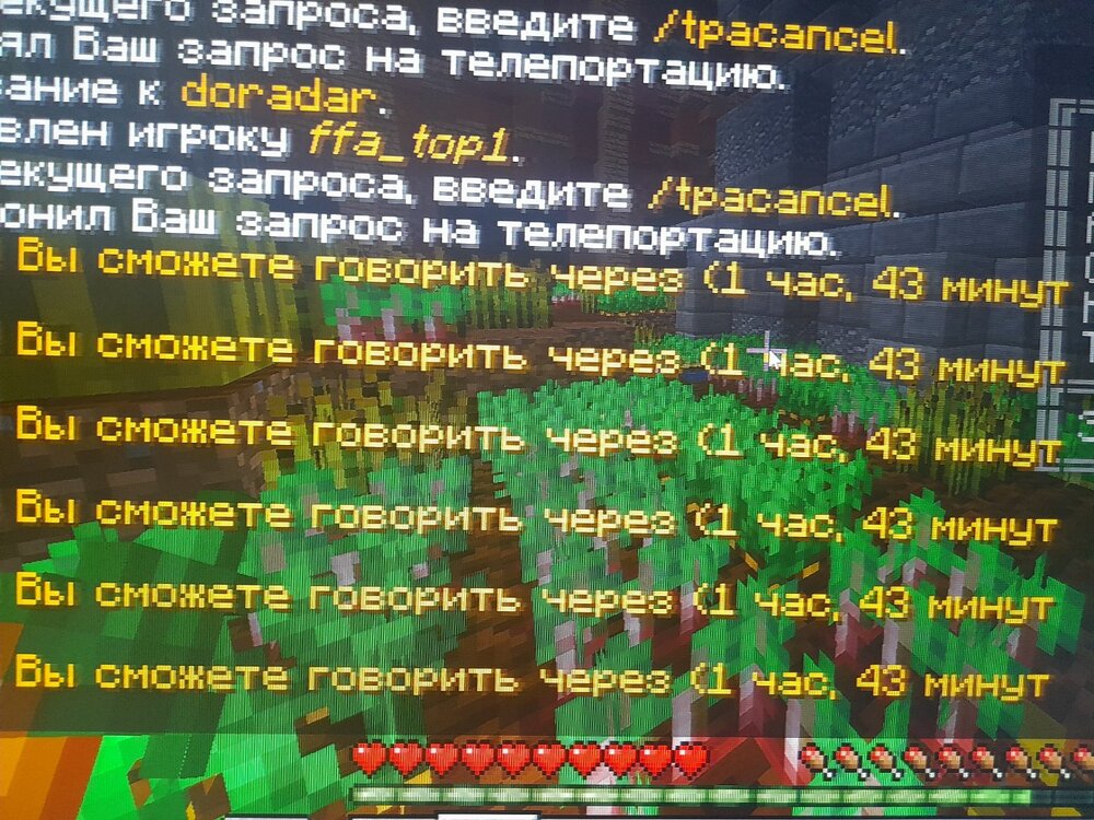 20230616_110731.jpg