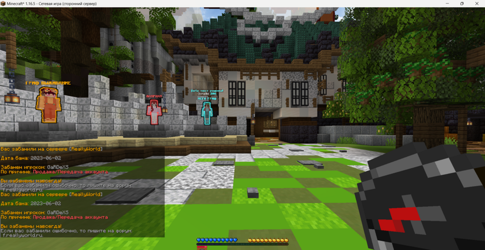 Minecraft_ 1.16.5 03.06.2023 11_34_37.png