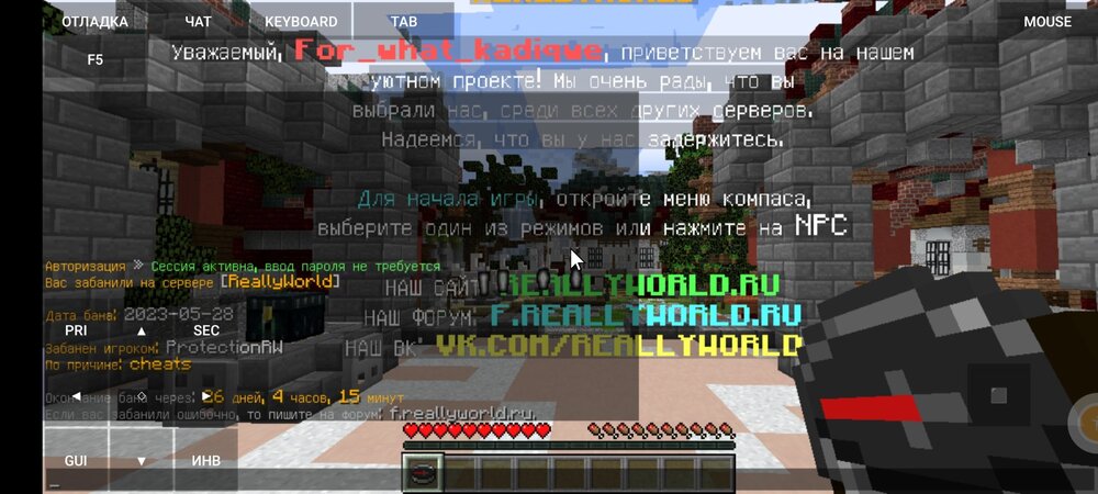Screenshot_2023-06-01-10-08-21-018_net.kdt.pojavlaunch.debug.jpg