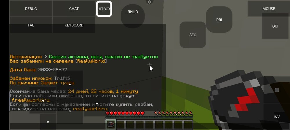 Screenshot_2023-06-27-15-56-17-537_net.kdt.pojavlaunch.jpg
