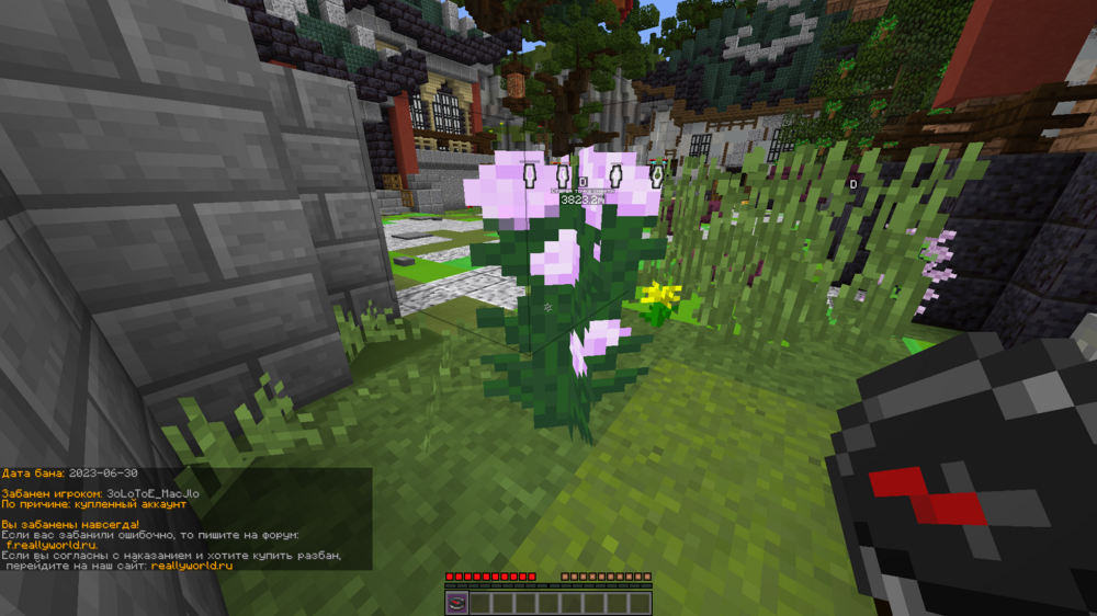 image.thumb.png.4bb0c46c6ba897cc141a4055eeb4c41c.png