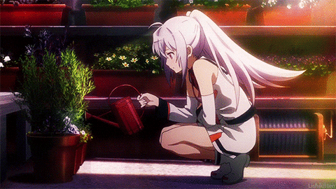 isla.gif.2b0ee6720456439a77b4015a3b6263bf.gif
