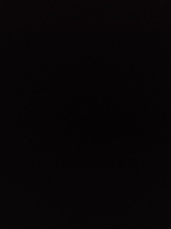 16883126178046530786989709316312.jpg