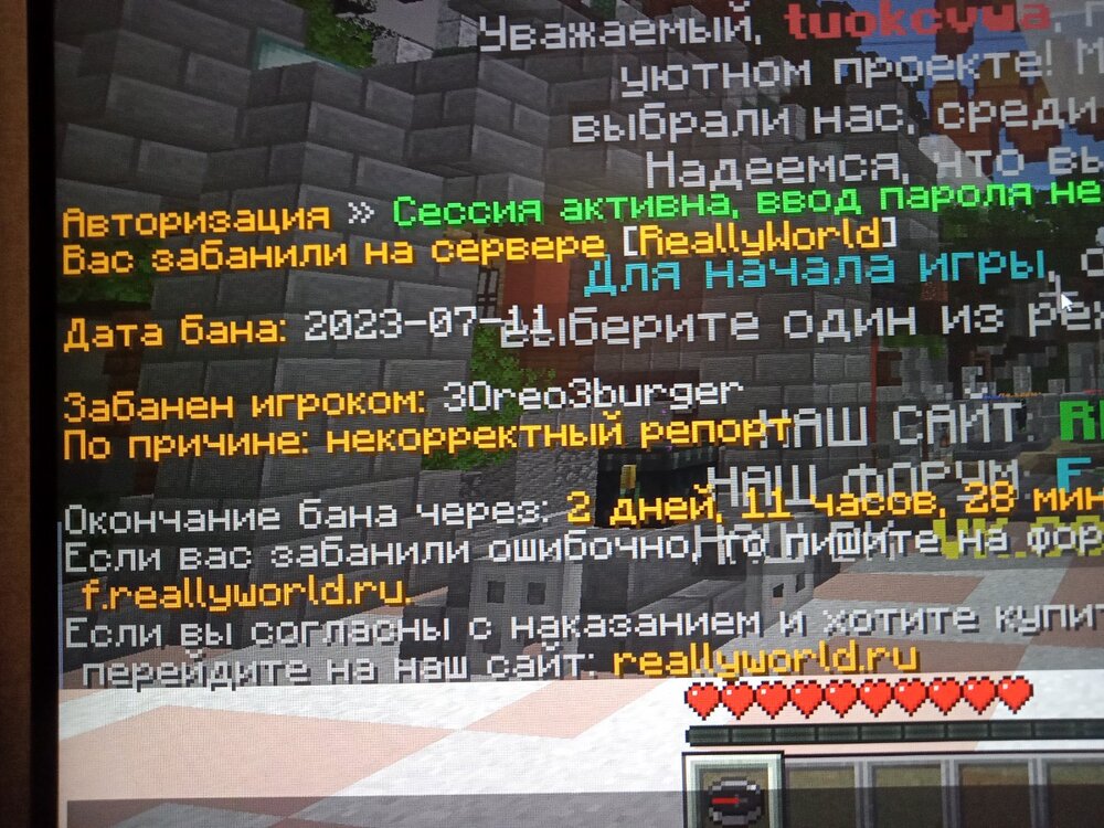 16891399217968413374193080711344.jpg