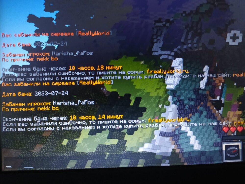 1690265643197..jpg