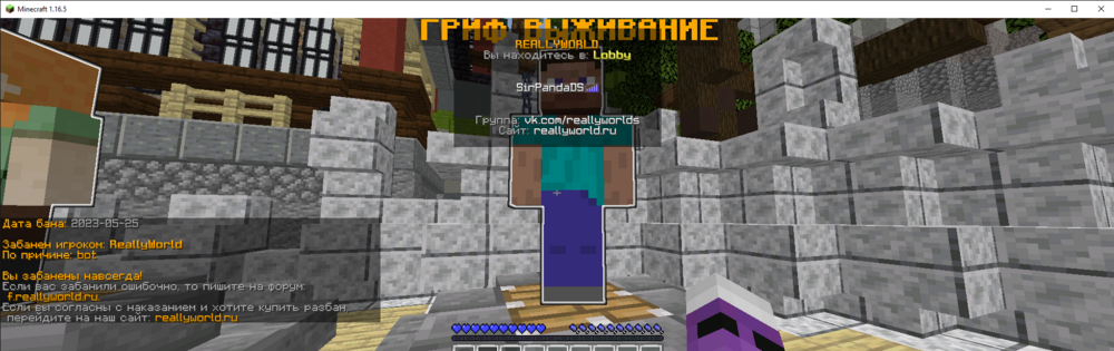 Minecraft 1.16.5 20.07.2023 10_50_40.png