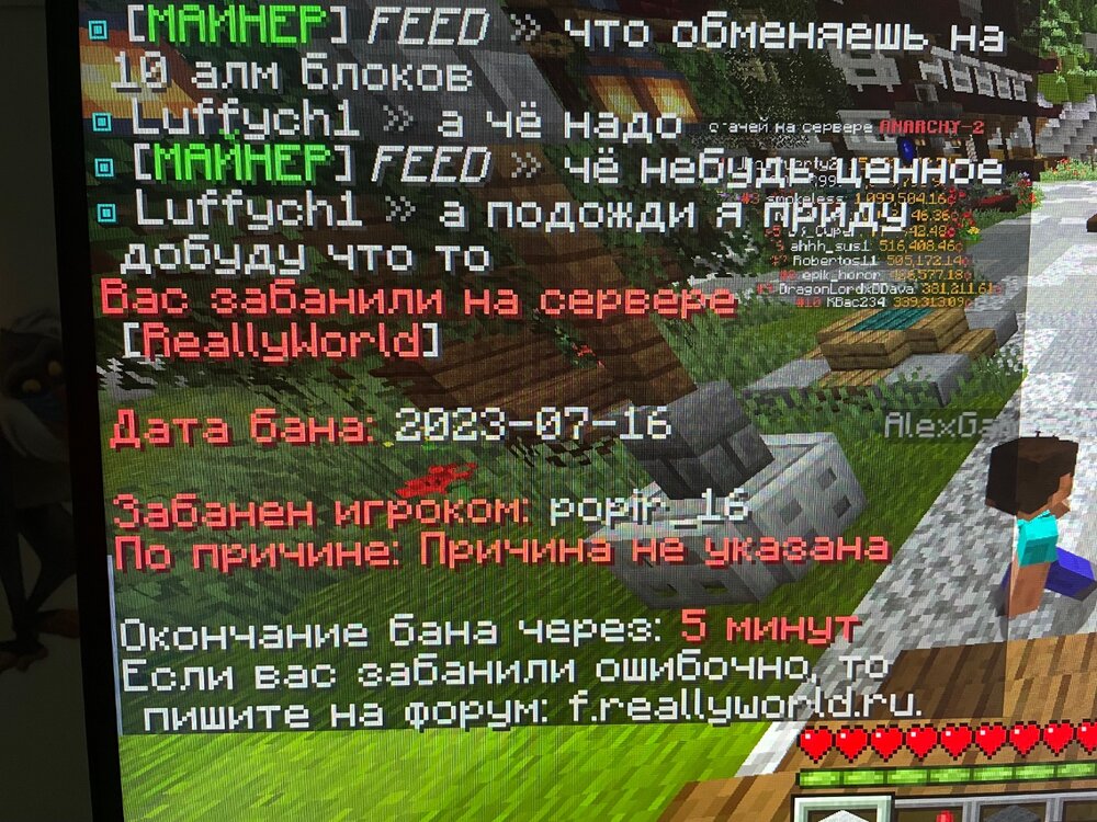 IMG_1354.jpeg