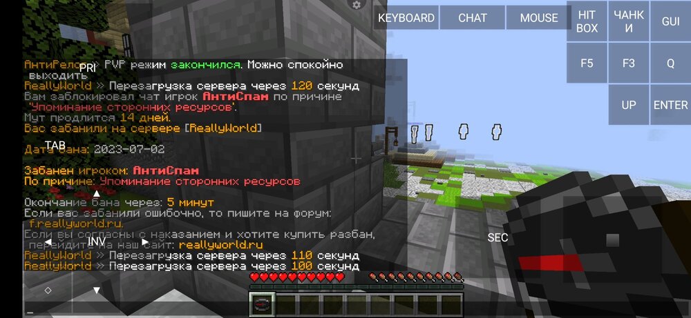 Screenshot_2023-07-02-07-18-21-906_net.kdt.pojavlaunch.jpg