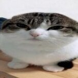 ScreamOdessa