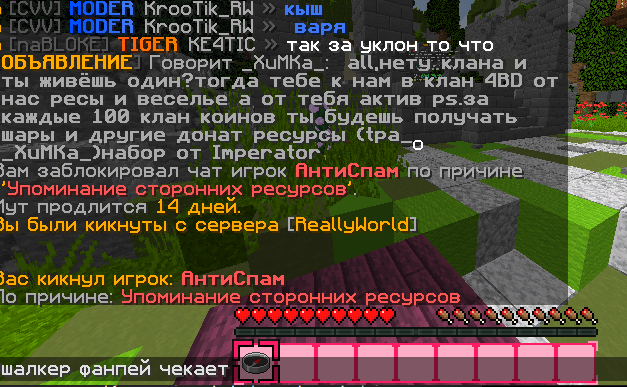 image.png.3f02dd6080e704115ba4f9548441f2b7.png