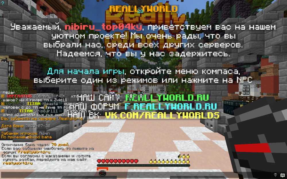 image.thumb.png.24d27df92cef25622114f64f11ce287c.png