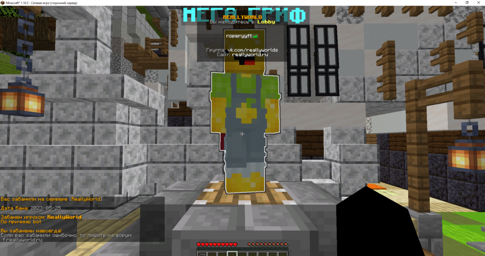1450244067_Minecraft_1_16.5-()11_08.202319_46_26.thumb.png.f9e8a61405b805dc53366b80b99dd144.png