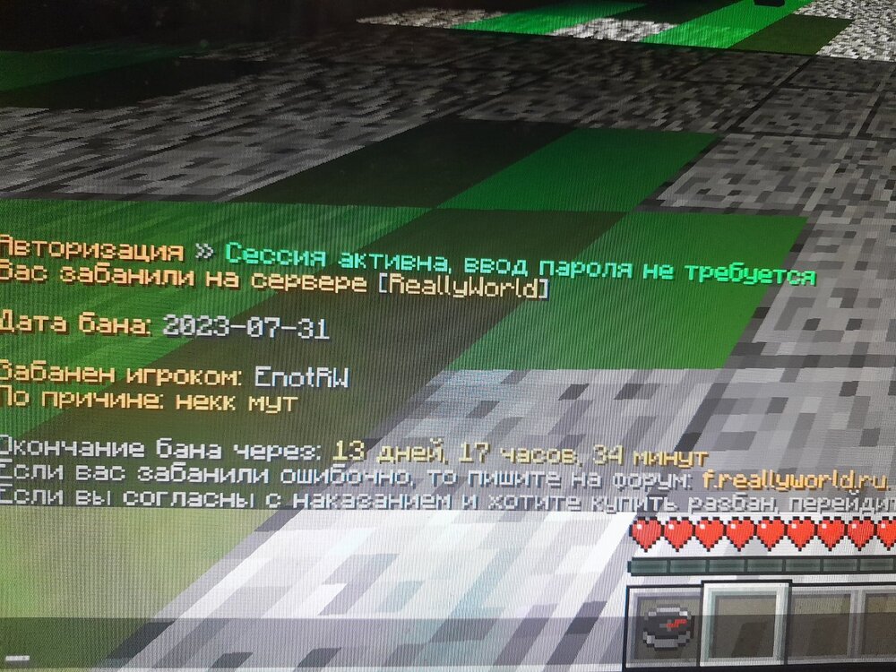1690846974452.thumb.jpg.aa45a2090bd519a211926d7572414698.jpg