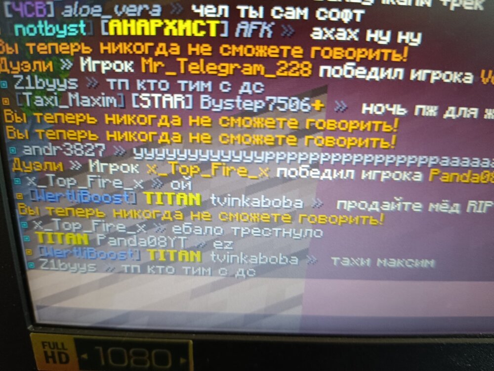 1691478691229.jpg