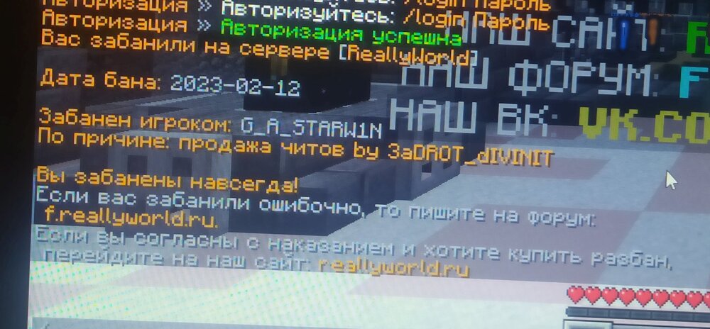 1691558661463.jpg