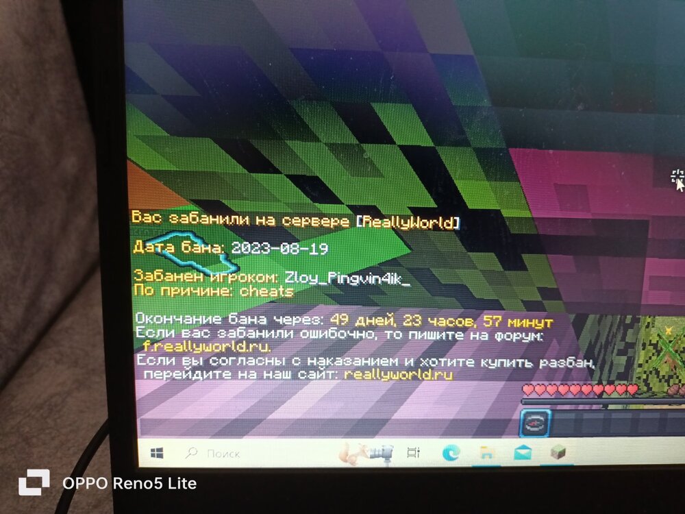 16924391156463157392455472290884.jpg