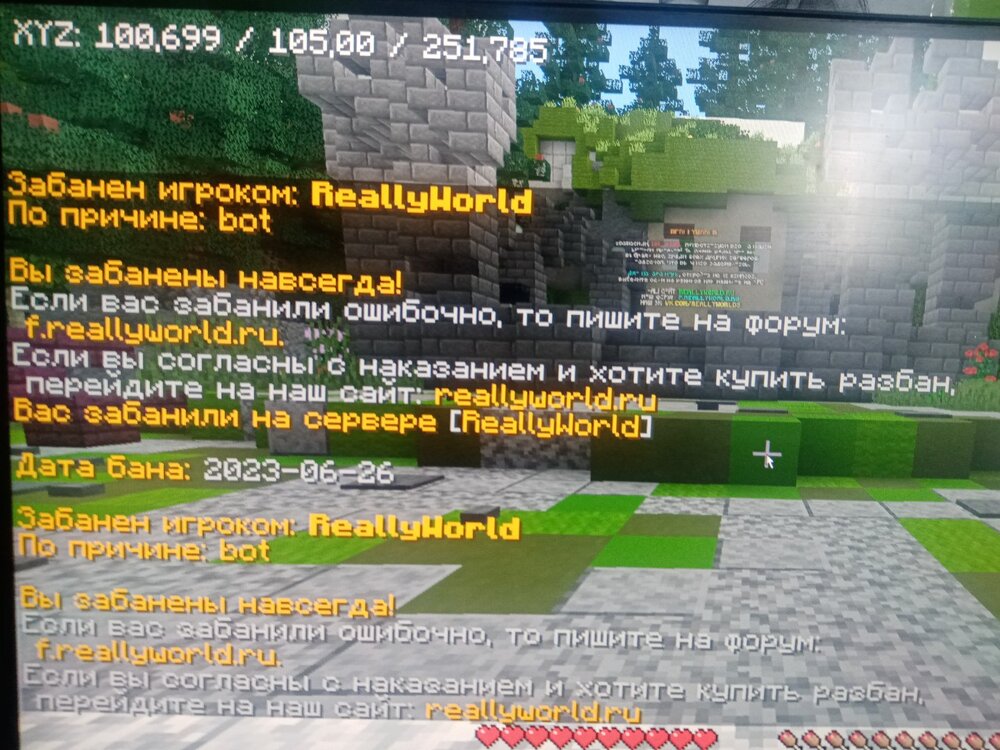1693373814627.jpg