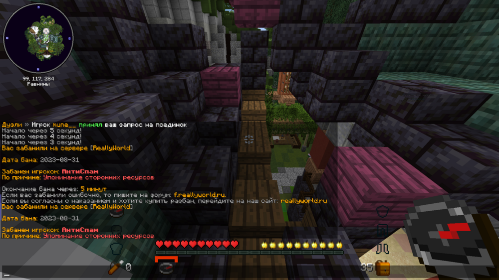 2023-08-31_14_10_05.thumb.png.e9bc4ff3d0af506c56fb12908fa79791.png