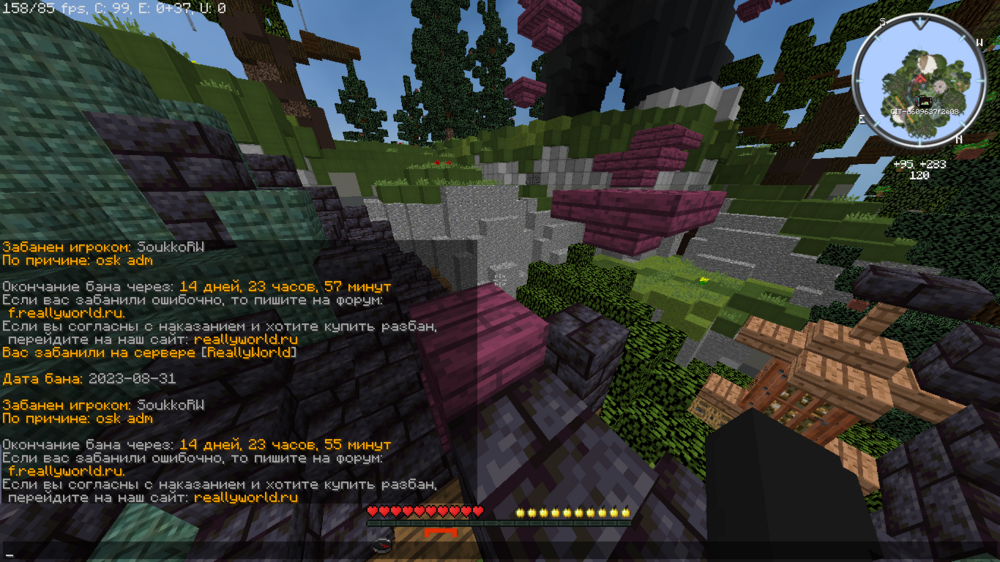 2023-08-31_19_33_06.thumb.png.de8b89a69703c3e4a33cdeec24e9ce32.png