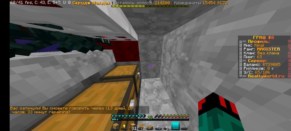 Screenshot_20230809_152223_PojavLauncher (Minecraft Java Edition for Android).jpg