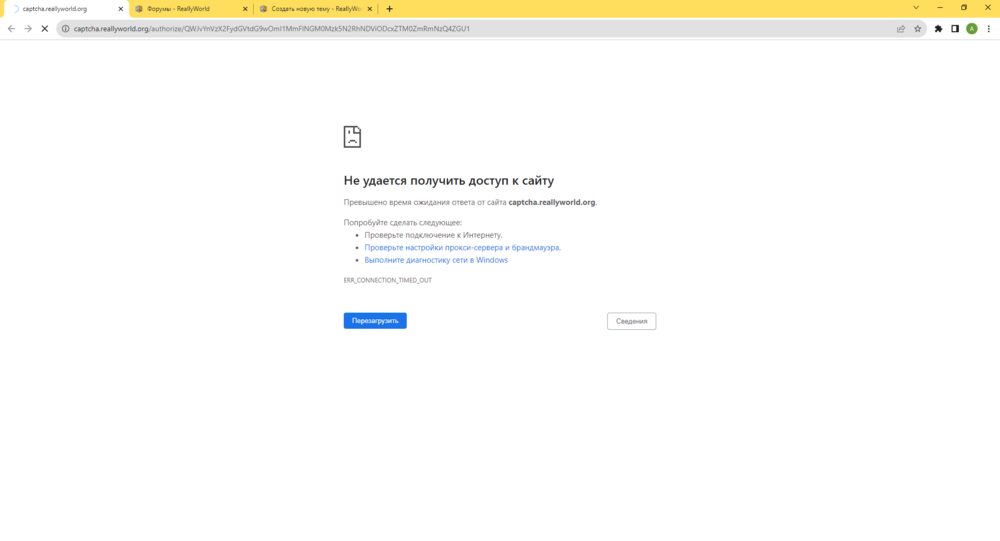 captcha.reallyworld.org - Google Chrome 28.08.2023 20_04_34.png