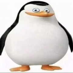 Tapixxxx