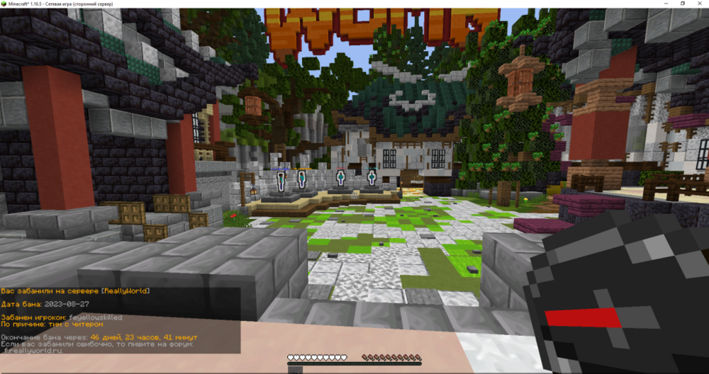 Minecraft__1.16.5_-___27.08.2023_21_27_15.png