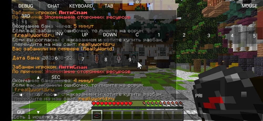 Screenshot_20230822_140102_net.kdt.pojavlaunch.jpg