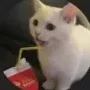 Draniks