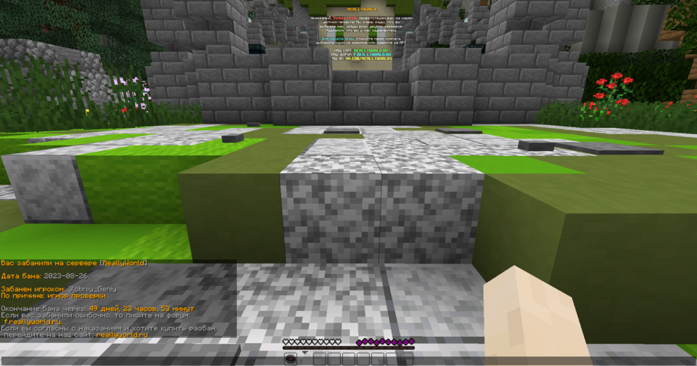 image-12.thumb.png.42d1e0ed740564757d5ff557fe74eadb.png