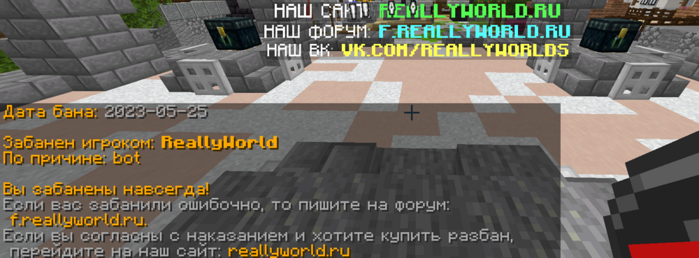 image.thumb.png.216ff16f19fba7ae87d04f8fecc1121b.png