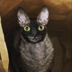 Bagdashik