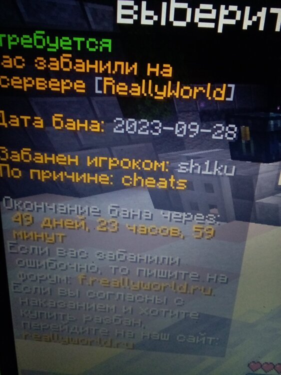 1695928341289107243971049141815.thumb.jpg.bfa19fa9e59405d30a3fad4f372d6c54.jpg
