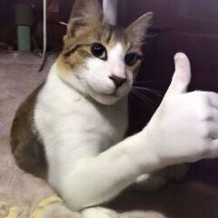 dontpushtalk