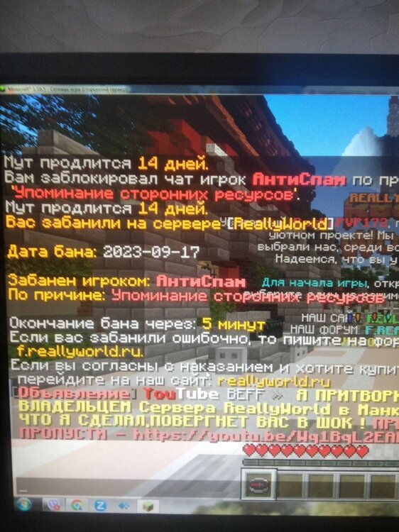 изображение_viber_2023-09-17_15-39-15-748.jpg