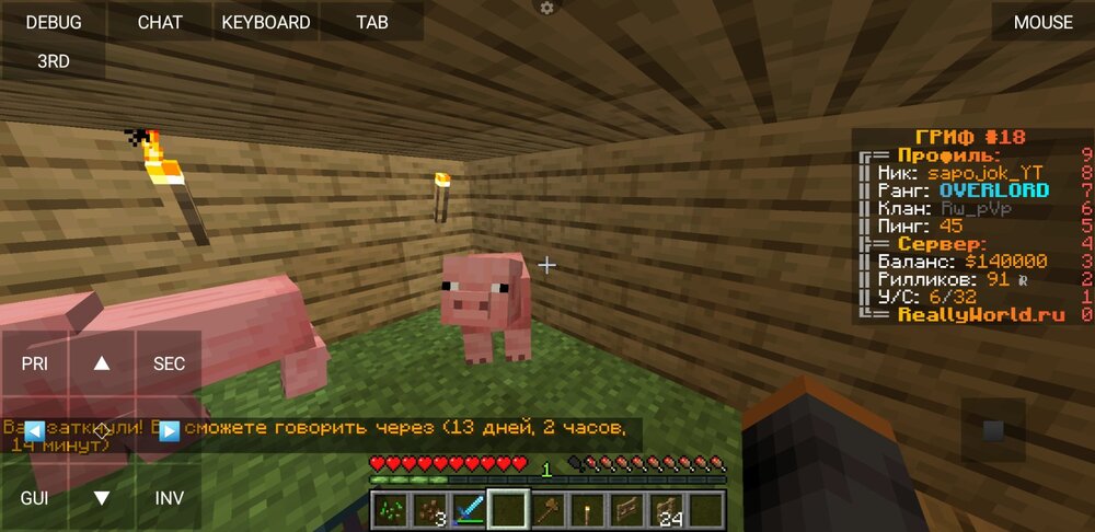Screenshot_20230926-050831_PojavLauncher (Minecraft Java Edition for Android).jpg