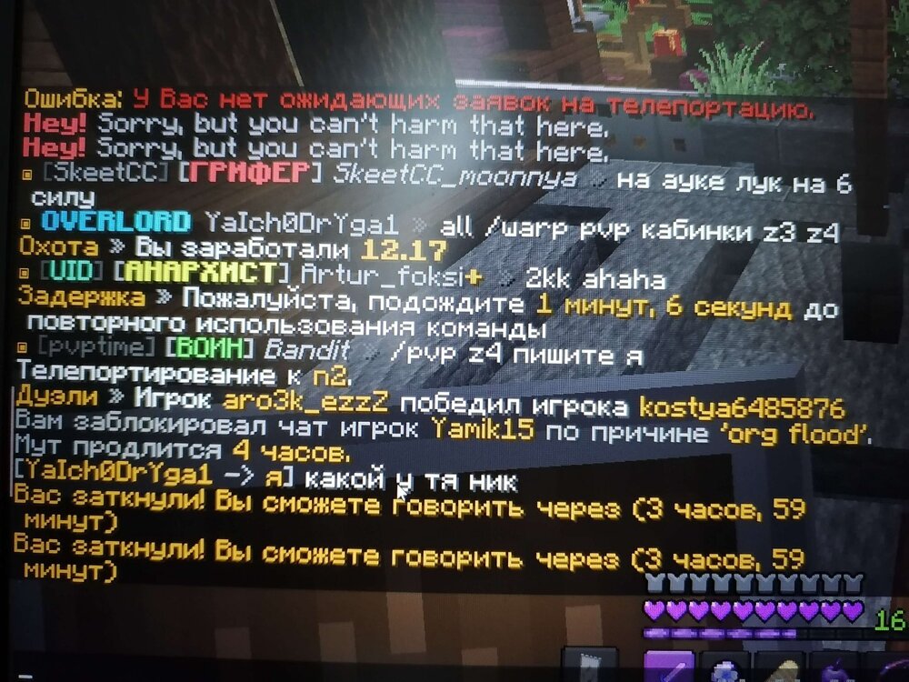 Мут.jpg