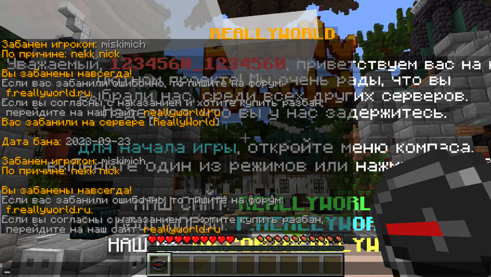 ban_nekk_nick.png
