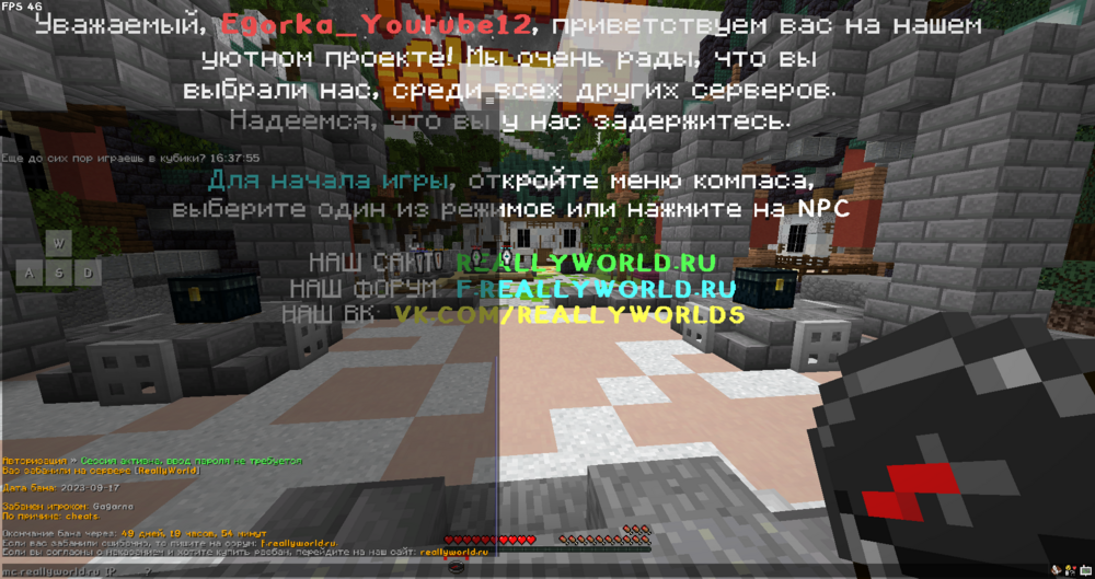 image.thumb.png.3052a354ce862283c073ec68636b5075.png