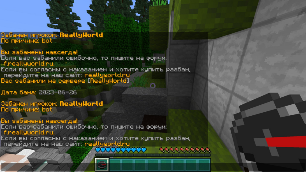 image.thumb.png.461207836594deb6de05ea70a15732d9.png