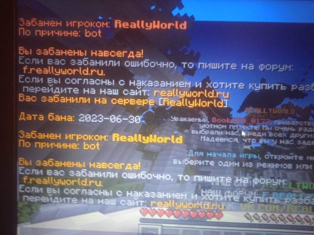 16963229980462700863266752440631.jpg