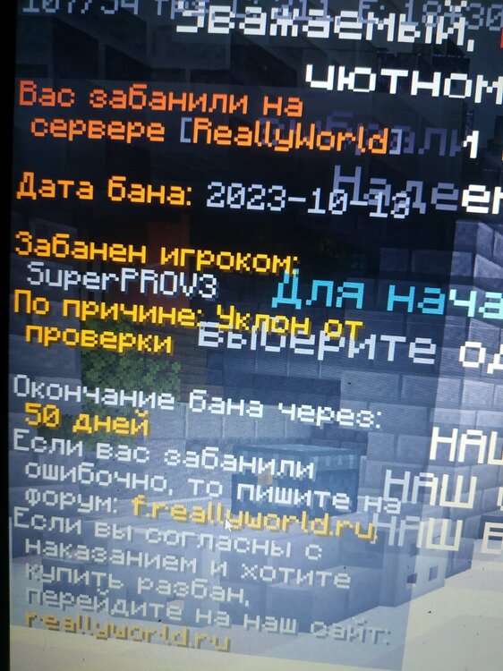 16971494308947958124475032652484.jpg