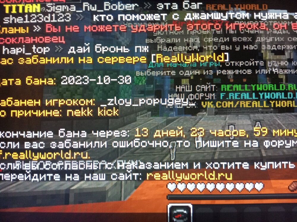 16986553966971052019175069811437.jpg