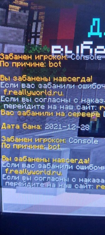 20231010_105207.jpg