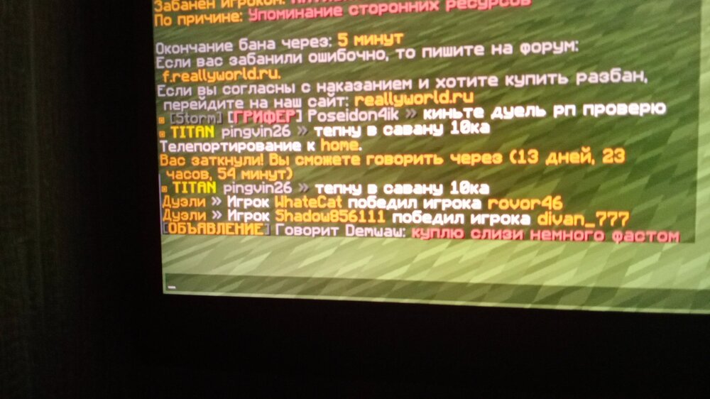 IMG-20231028-WA0002.thumb.jpeg.1da25aa08dad9b31c1c6a28862e1adb2.jpeg