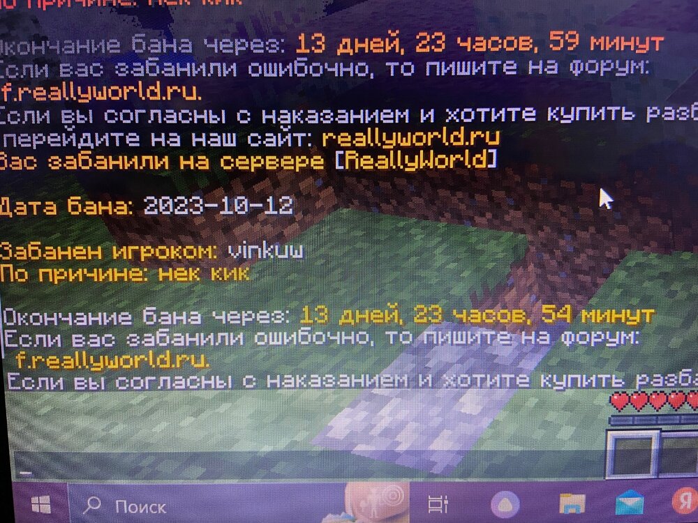 IMG_7931.jpeg