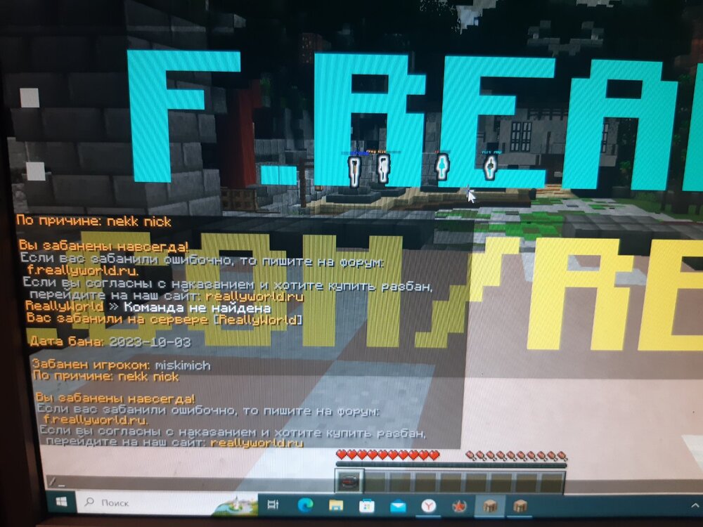 image.thumb.jpeg.e63062698179c29762d74af65a5157fc.jpeg