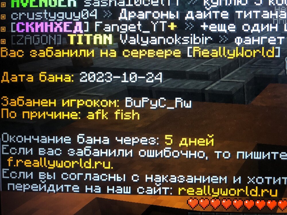 image.jpg