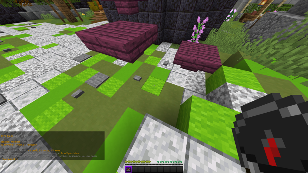 image.thumb.png.8cfe2cc57ac63e708210cb945c9bd998.png