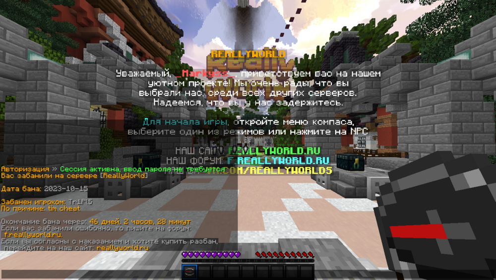 image.thumb.png.a76454de7ac4fb61cff30d27f768a875.png